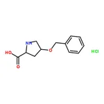 RHAWN H-Hyp(Bzl)-OH.HCl