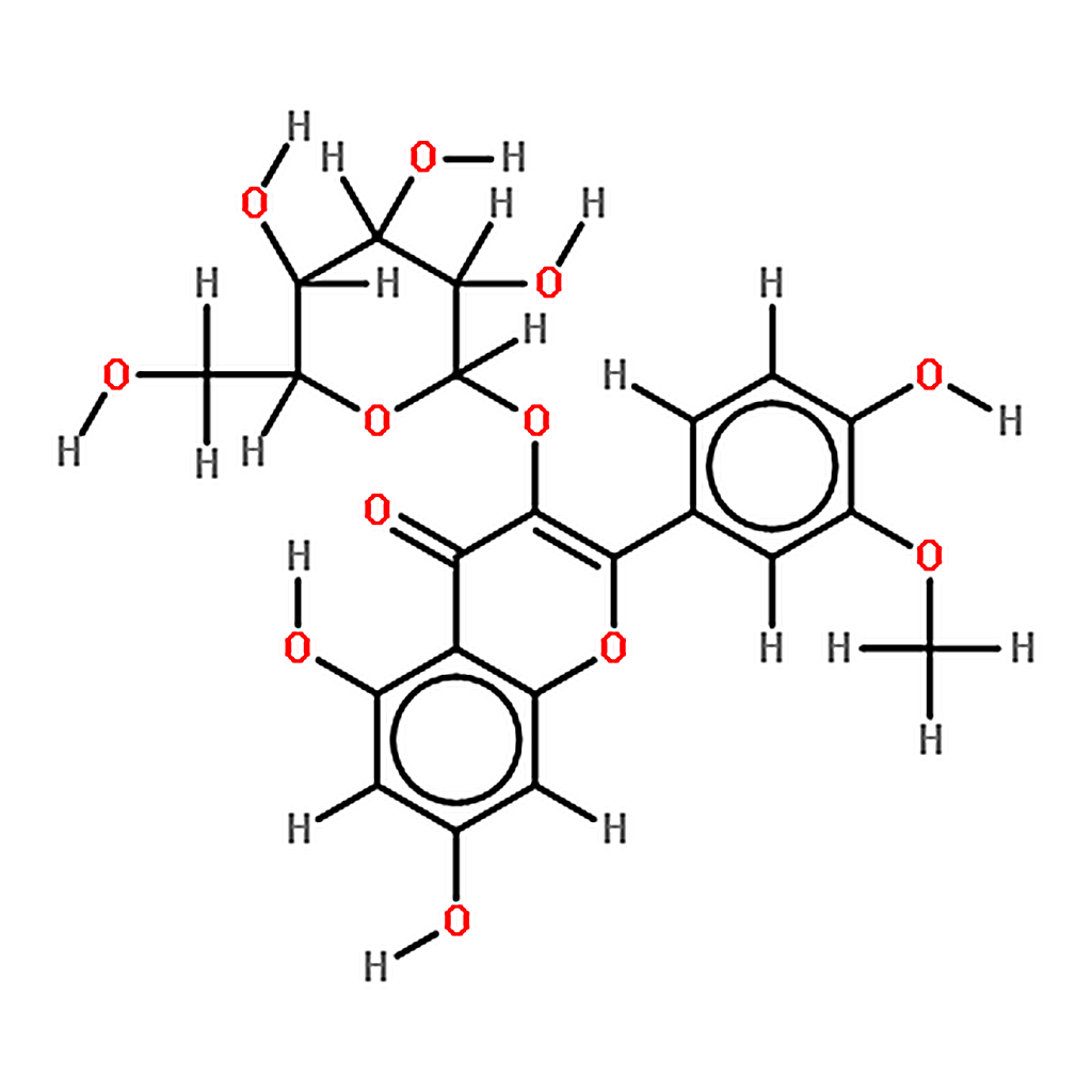 RHAWN Isorhamnetin-3-O-galactoside