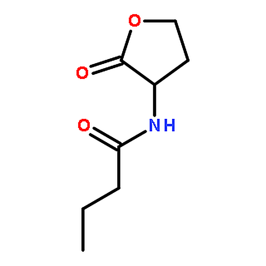 RHAWN (S)-N-(2-Oxotetrahydrofuran-3-yl)butyramide