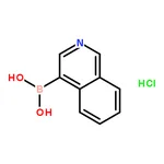 RHAWN 4-Isoquinolineboronic acid hydrochloride