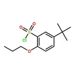 RHAWN 5-(tert-Butyl)-2-propoxybenzene-1-sulfonyl chloride