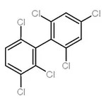 RHAWN 2,2',3,4',6,6'-Hexachlorobiphenyl