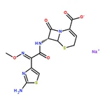 RHAWN Ceftizoxime sodium