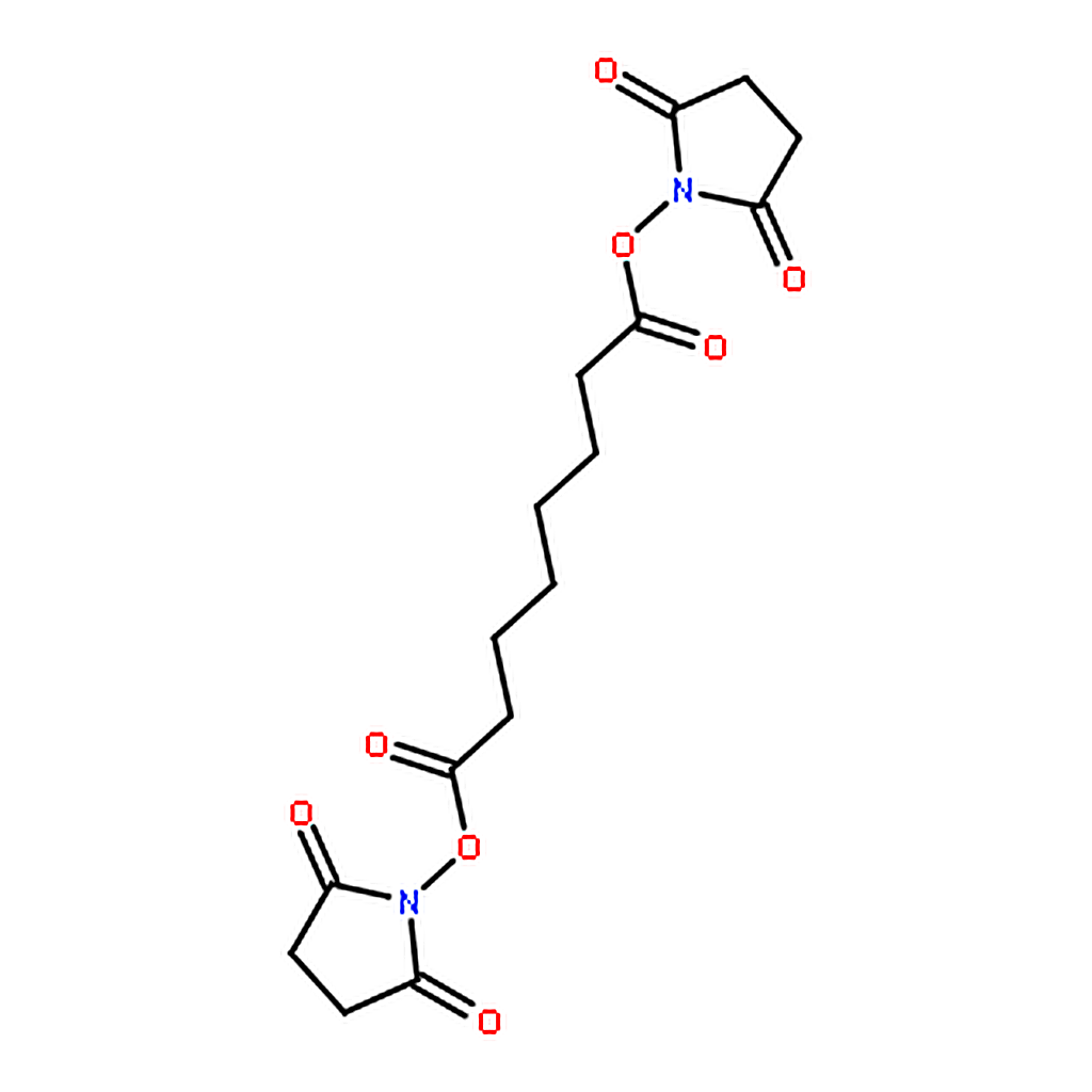 RHAWN Suberic acid bis(N-hydroxysuccinimide ester)