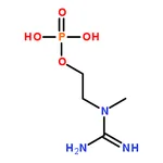 RHAWN 2-(1-Methylguanidino)ethyl dihydrogen phosphate