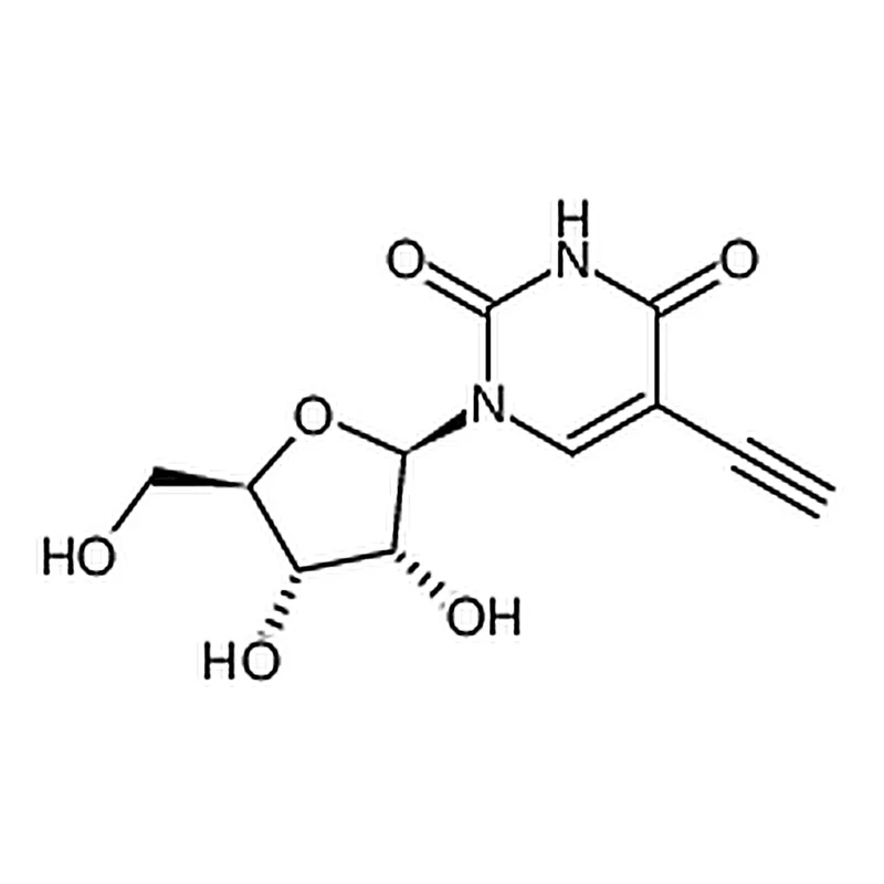 RHAWN 5-Ethynyluridine