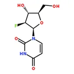 RHAWN 1-(2-Deoxy-2-fluoro-beta-D-arabinofuranosyl)uracil