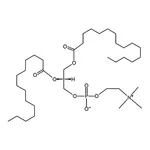 RHAWN 1-palmitoyl-2-myristoyl-sn-glycero-3-phosphocholine
