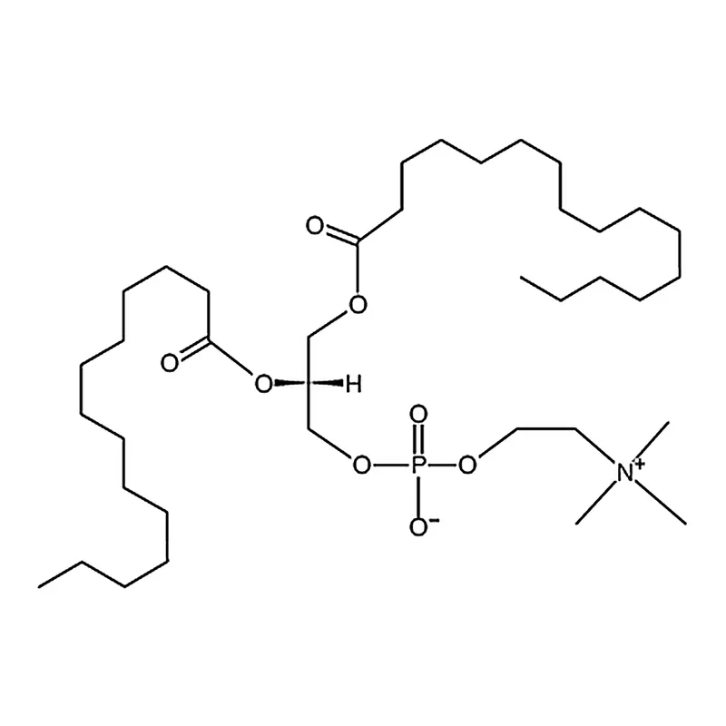 RHAWN 1-palmitoyl-2-myristoyl-sn-glycero-3-phosphocholine
