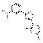 RHAWN 5-(2,4-Dichlorophenyl)-3-(3-nitrophenyl)-1,2,4-oxadiazole
