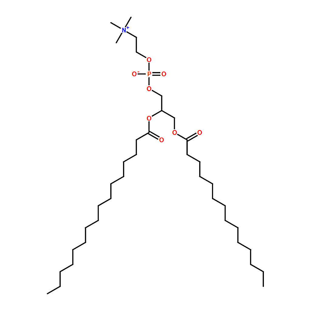 RHAWN 1-myristoyl-2-palmitoyl-sn-glycero-3-phosphocholine