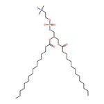 RHAWN 1-myristoyl-2-palmitoyl-sn-glycero-3-phosphocholine