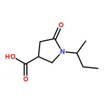RHAWN 1-sec-Butyl-5-oxopyrrolidine-3-carboxylic Acid