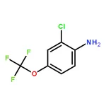 RHAWN 2-Chloro-4-(trifluoromethoxy)aniline