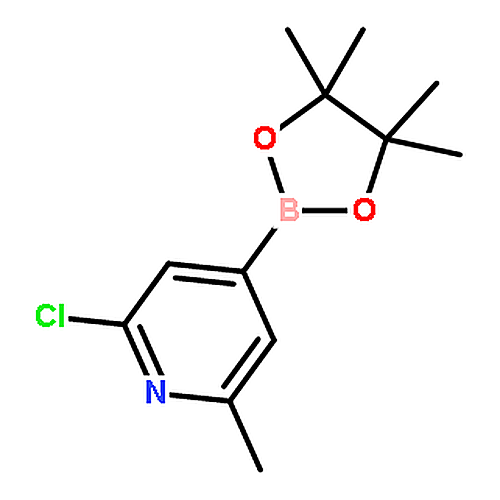 RHAWN 2-Chloro-6-methyl-4-(4,4,5,5-tetramethyl-1,3,2-dioxaborolan-2-yl)pyridine