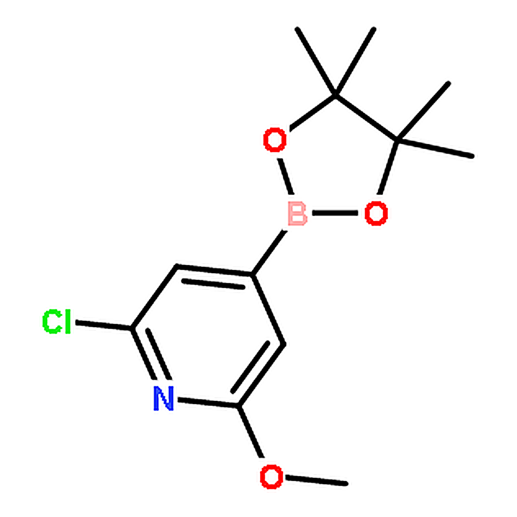 RHAWN 2-Chloro-6-methoxy-4-(4,4,5,5-tetramethyl-1,3,2-dioxaborolan-2-yl)pyridine