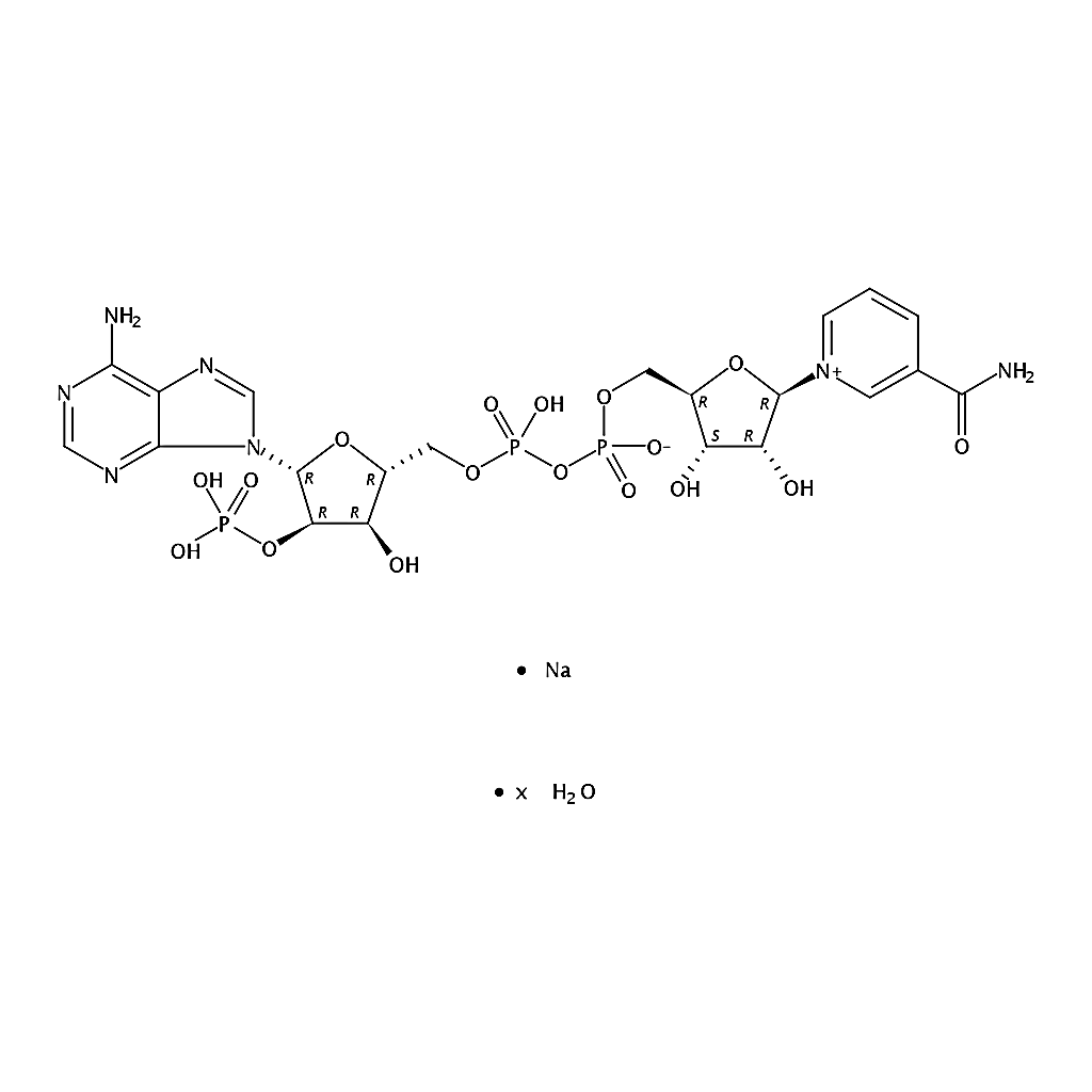 RHAWN Triphosphopyridine nucleotide sodium salt hydrate