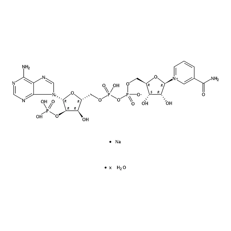 RHAWN Triphosphopyridine nucleotide sodium salt hydrate