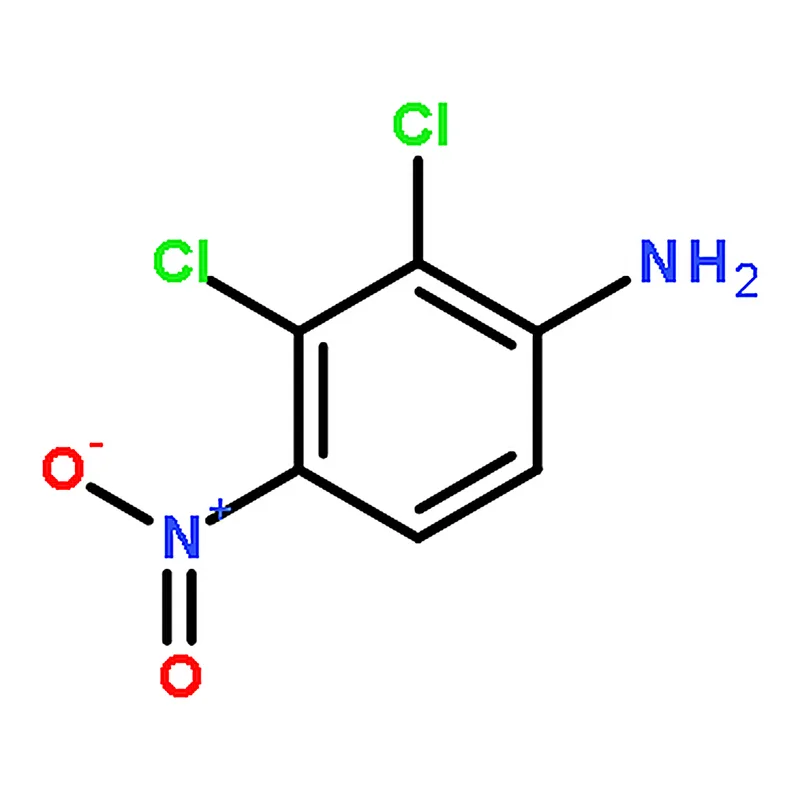 RHAWN 2,3-Dichloro-4-nitroaniline