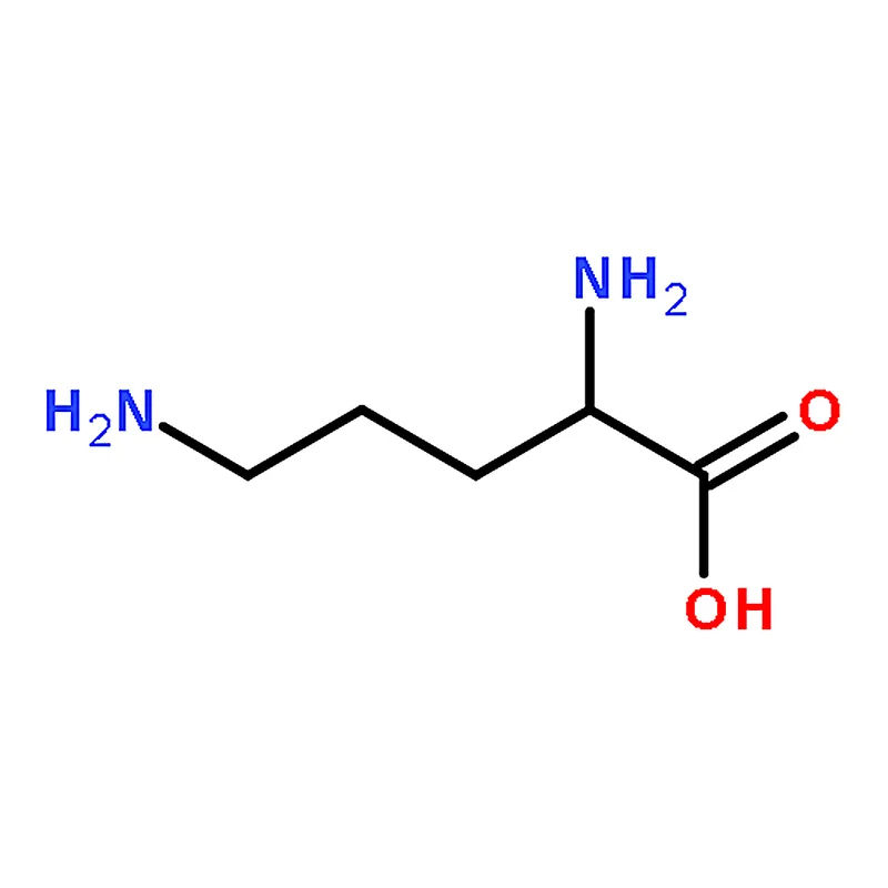 RHAWN L-ORNITHINE