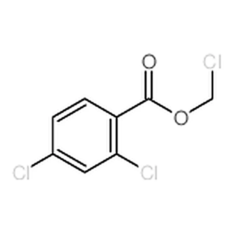 RHAWN Chloromethyl 2,4-dichlorobenzoate