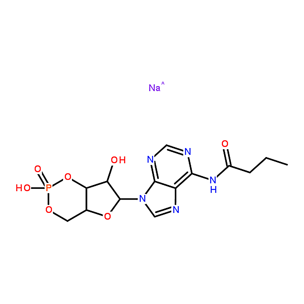 RHAWN N6-Monobutyryladenosine 3▽:5▽-cyclic monophosphate sodium salt