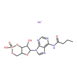 RHAWN N6-Monobutyryladenosine 3▽:5▽-cyclic monophosphate sodium salt