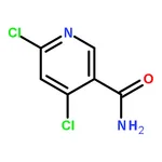RHAWN 4,6-Dichloronicotinamide