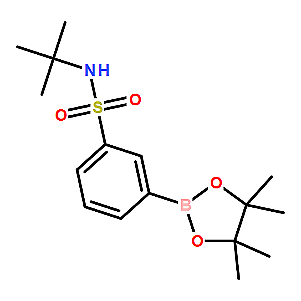 RHAWN 3-[N-(tert-Butyl)sulfamoyl]phenylboronic Acid Pinacol Ester