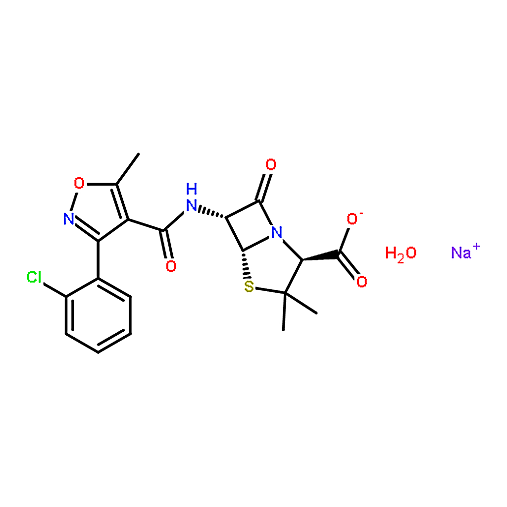 RHAWN Cloxacillin Sodium Salt Monohydrate