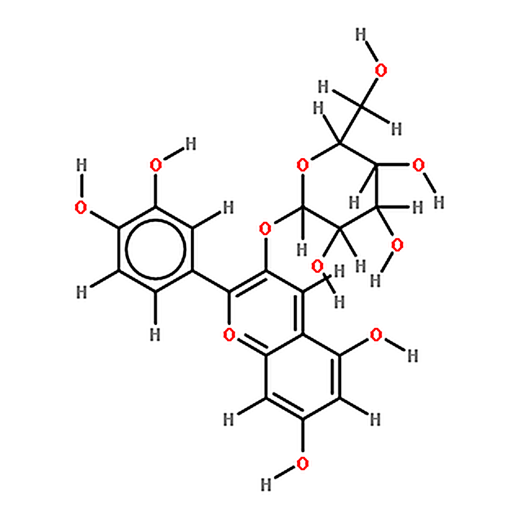 RHAWN Cyanidin-3-O-glucoside Chloride