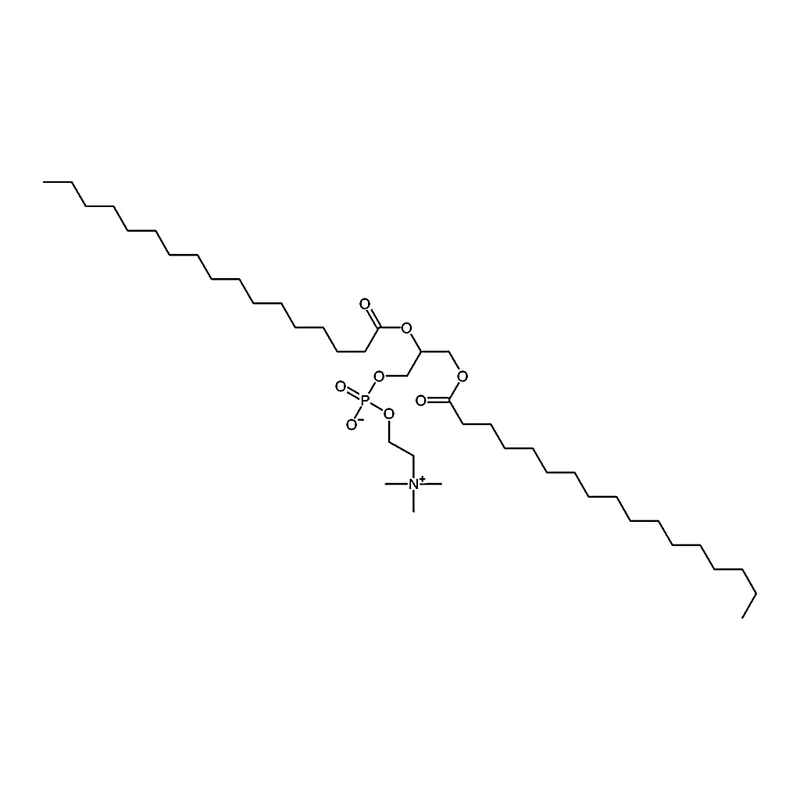 RHAWN 1,2-diheptadecanoyl-sn-glycero-3-phosphocholine