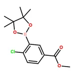 RHAWN Methyl 4-chloro-3-(4,4,5,5-tetramethyl-1,3,2-dioxaborolan-2-yl)benzoate
