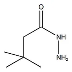 RHAWN 3,3-DImethylbutanehydrazide