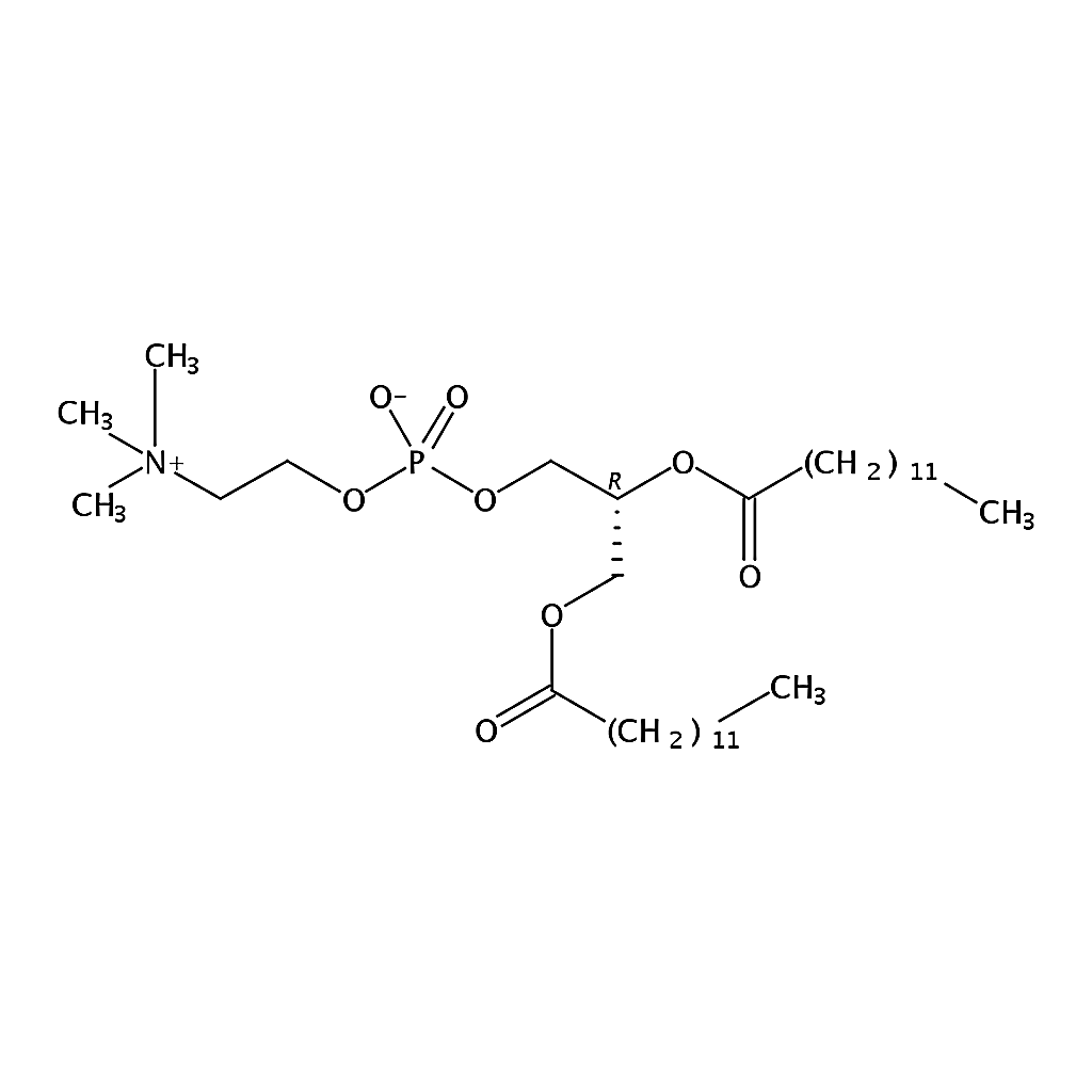 RHAWN 1,2-ditridecanoyl-sn-glycero-3-phosphocholine