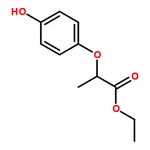 RHAWN Ethyl (2R)-2-(4-hydroxyphenoxy)propanoate