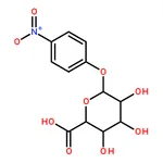 RHAWN 4-Nitrophenyl α-<small>D</small>-Glucuronide