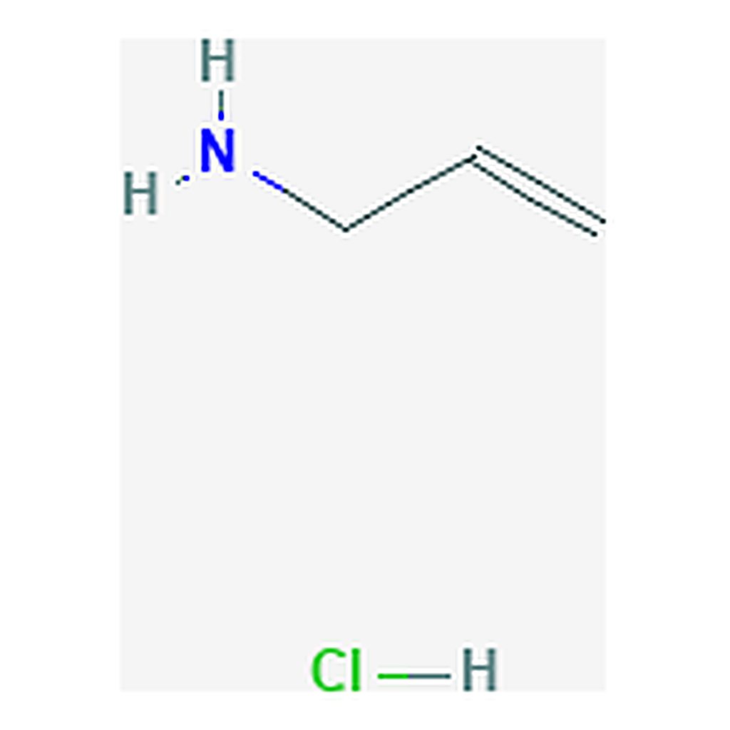 RHAWN Poly(allylamine hydrochloride)