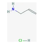 RHAWN Poly(allylamine hydrochloride)