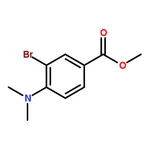 RHAWN Methyl 3-bromo-4-(dimethylamino)benzoate
