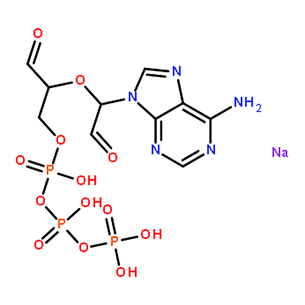 RHAWN Adenosine 5'-triphosphate， periodate oxidized sodium salt