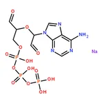 RHAWN Adenosine 5'-triphosphate, periodate oxidized sodium salt