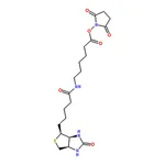 RHAWN N-Succinimidyl 6-Biotinamidohexanoate