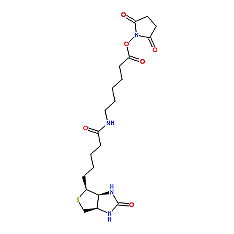 RHAWN N-Succinimidyl 6-Biotinamidohexanoate