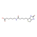 RHAWN N-(+)-Biotinyl-6-aminohexanoic acid