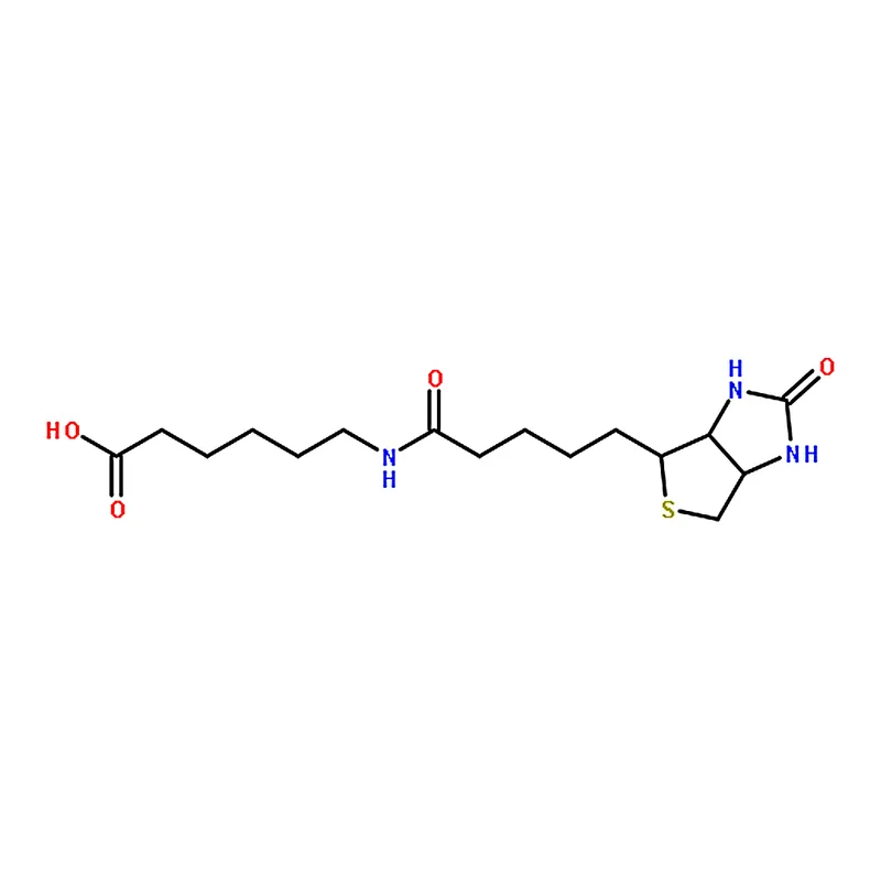 RHAWN N-(+)-Biotinyl-6-aminohexanoic acid
