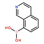 RHAWN Isoquinolin-8-ylboronic acid