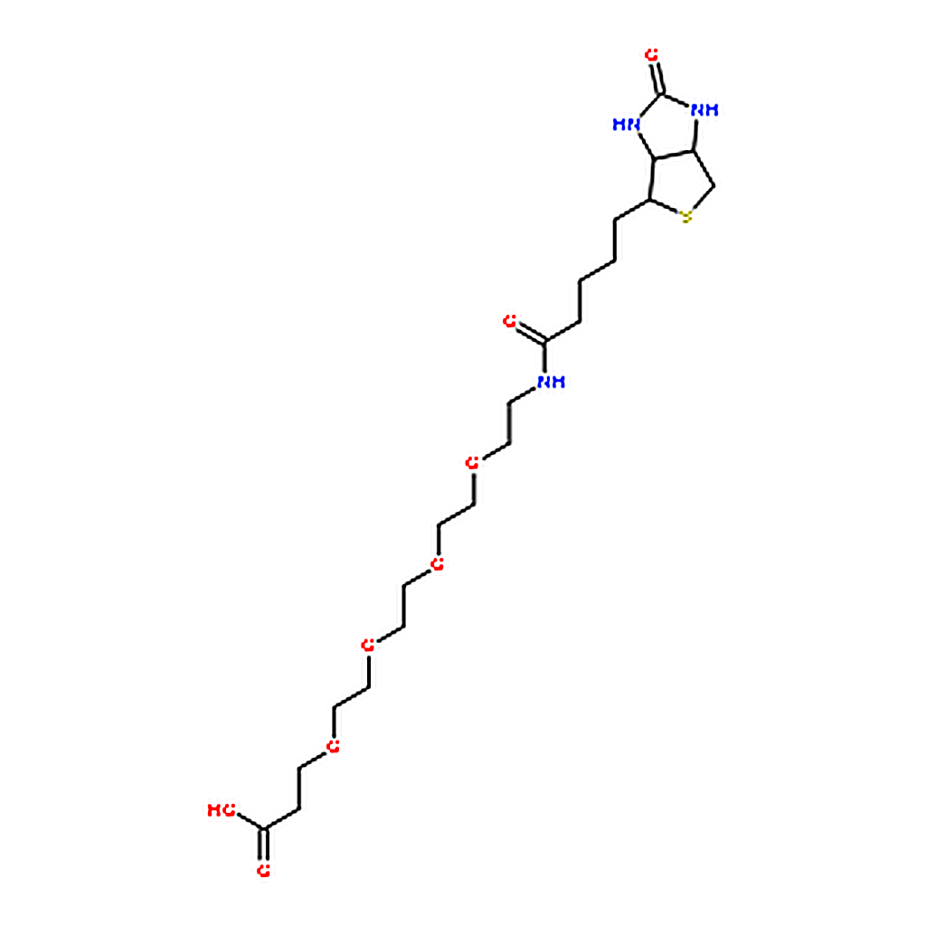 RHAWN (+)-Biotin-PEG4-propionic acid