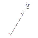 RHAWN (+)-Biotin-PEG4-propionic acid