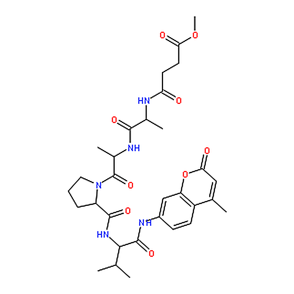 RHAWN Elastase Substrate V， Fluorogenic